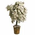 MONEY SOLUTIONS INC